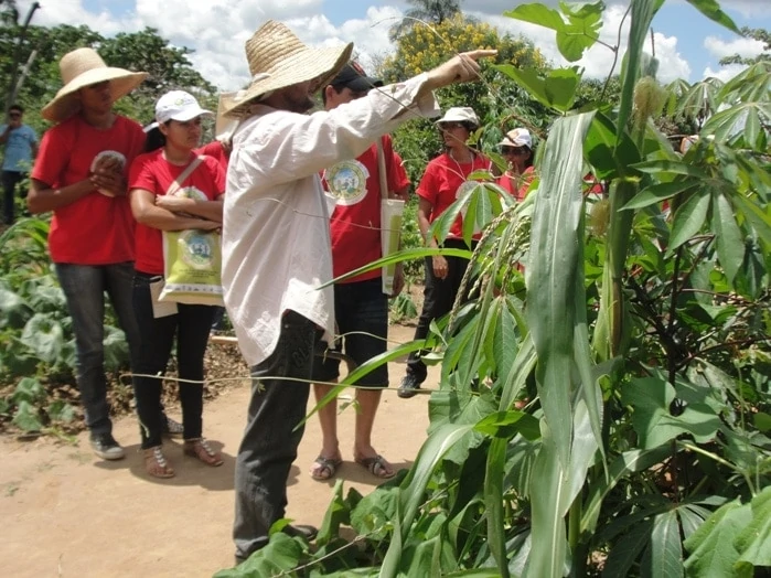Jugendliche in roten T-Shirts und weissen Hüten besuchen eine Plantage.