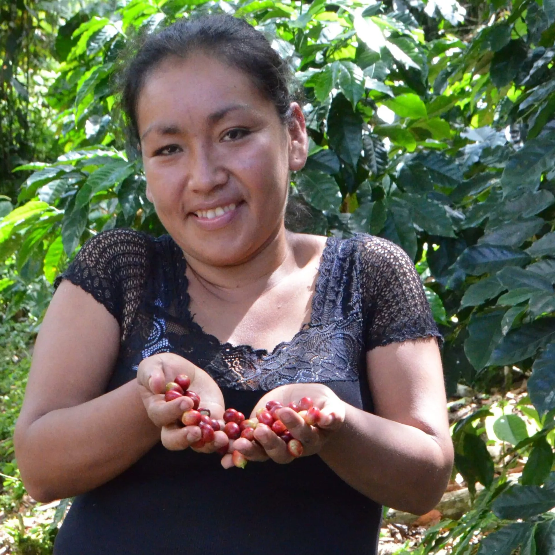 Junge Frau aus Peru zeigt ihre frisch geernteten Kaffeebohnen.