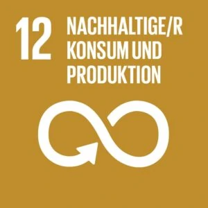 SDG Icon DE 12