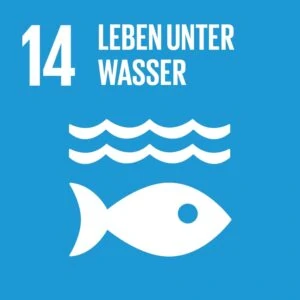 SDG Icon DE 14