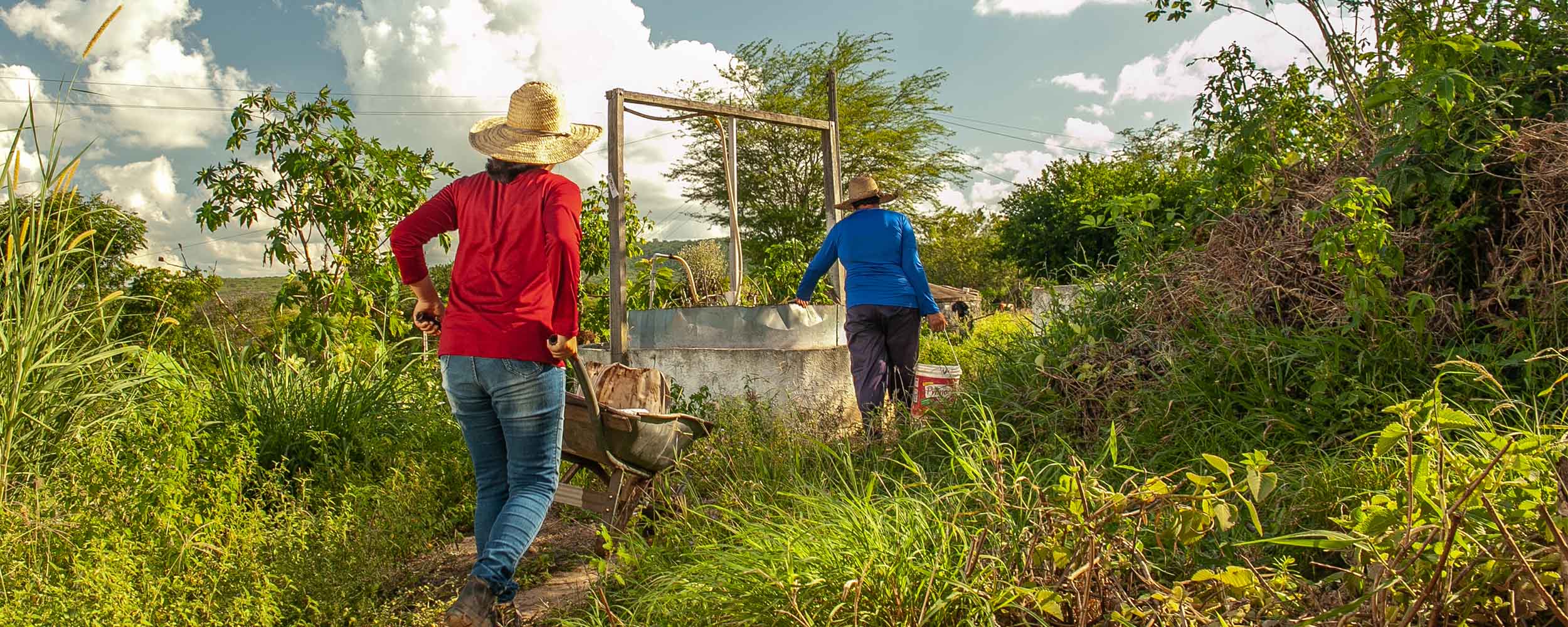 Zwei Personen von hinten in einer grüsen Landschaft mit Bäumen und blauem Himmel.