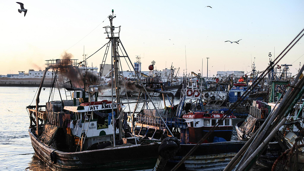 Fischkutter im Hafen. terre des hommes schweiz