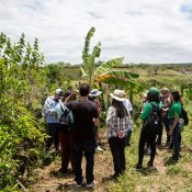 Ausbildung ökologische Landwirtschaft - terre des hommes schweiz
