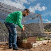Junger Bauer in Brasilien am arbeiten - terre des hommes schweiz