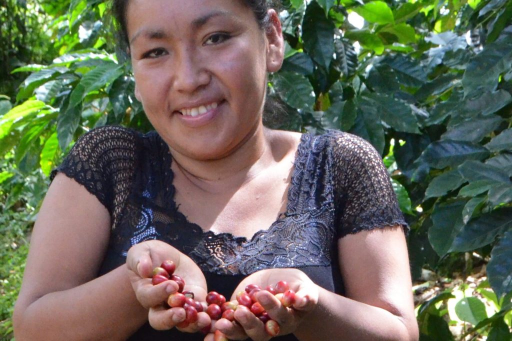 Young woman from Peru shows her freshly harvested coffee beans.