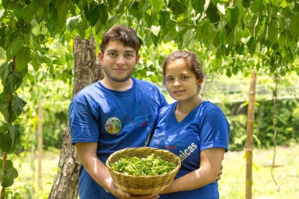 a-young-couple-in-a-landscaped-garden-presenting-a-basket-with-vegetables-